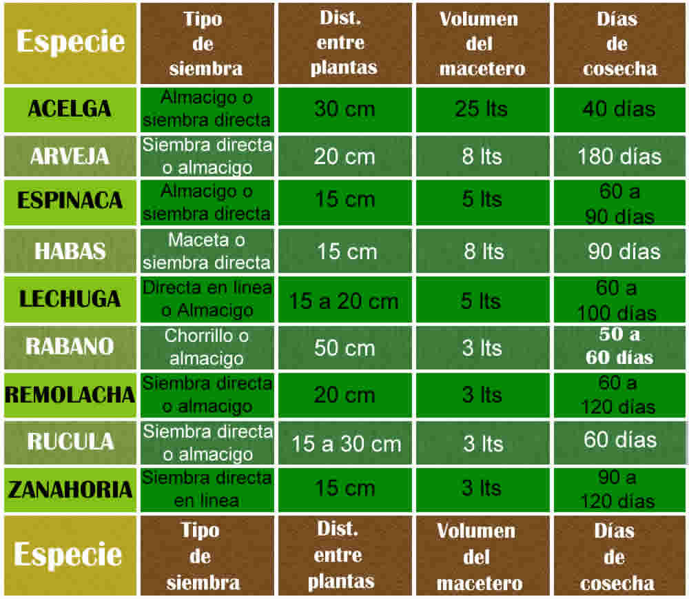 Que sembrar en Mayo, lista de especies que se adaptan al mes mas datos para la siembra
