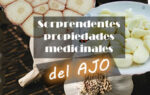 Sorprendentes propiedades medicinales del ajo