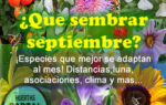 Que sembrar en Septiembre. Datos del mes útiles para la huerta