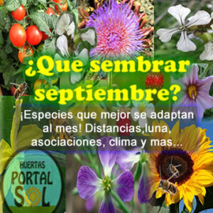 Que sembrar en Septiembre. Datos del mes útiles para la huerta
