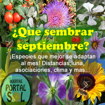 Que sembrar en Septiembre. Datos del mes útiles para la huerta