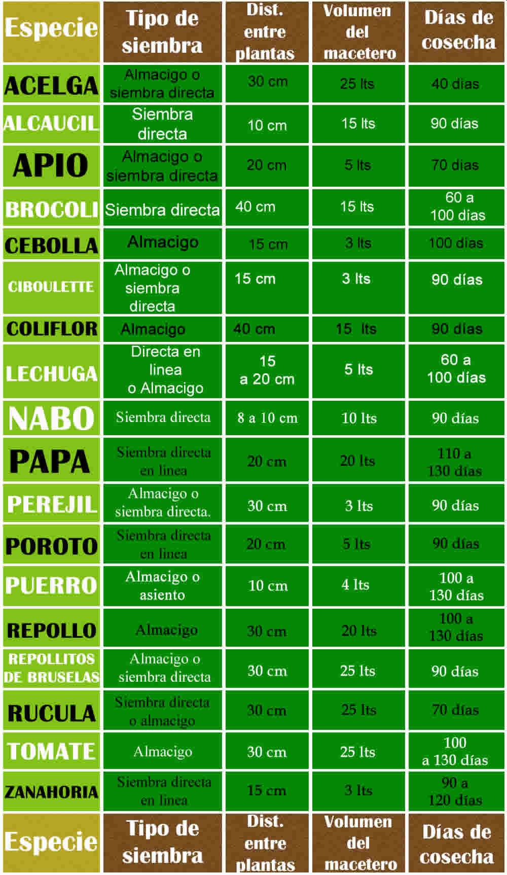 Verduras que se adaptan a las condiciones de Enero