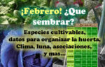 Que sembrar en Febrero. Datos del mes útiles para la huerta