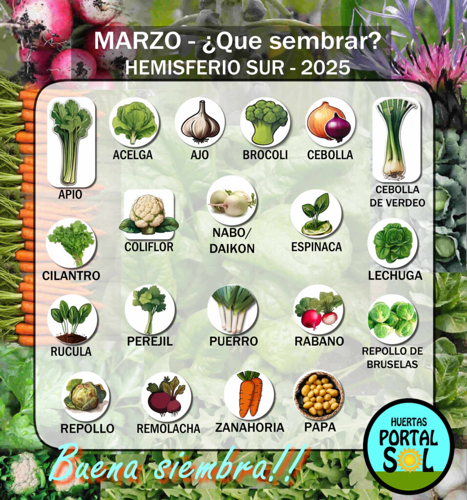 Conjunto de verduras cultivables que se adaptan a las condiciones del mes en Argentina