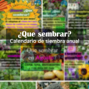Calendarios de siembra anual imagen destacada