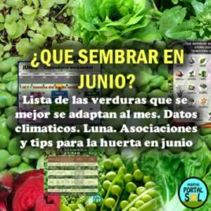 Que sembrar en Junio. Datos del mes útiles para la huerta