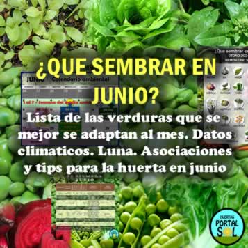Que sembrar en Junio. Datos del mes útiles para la huerta
