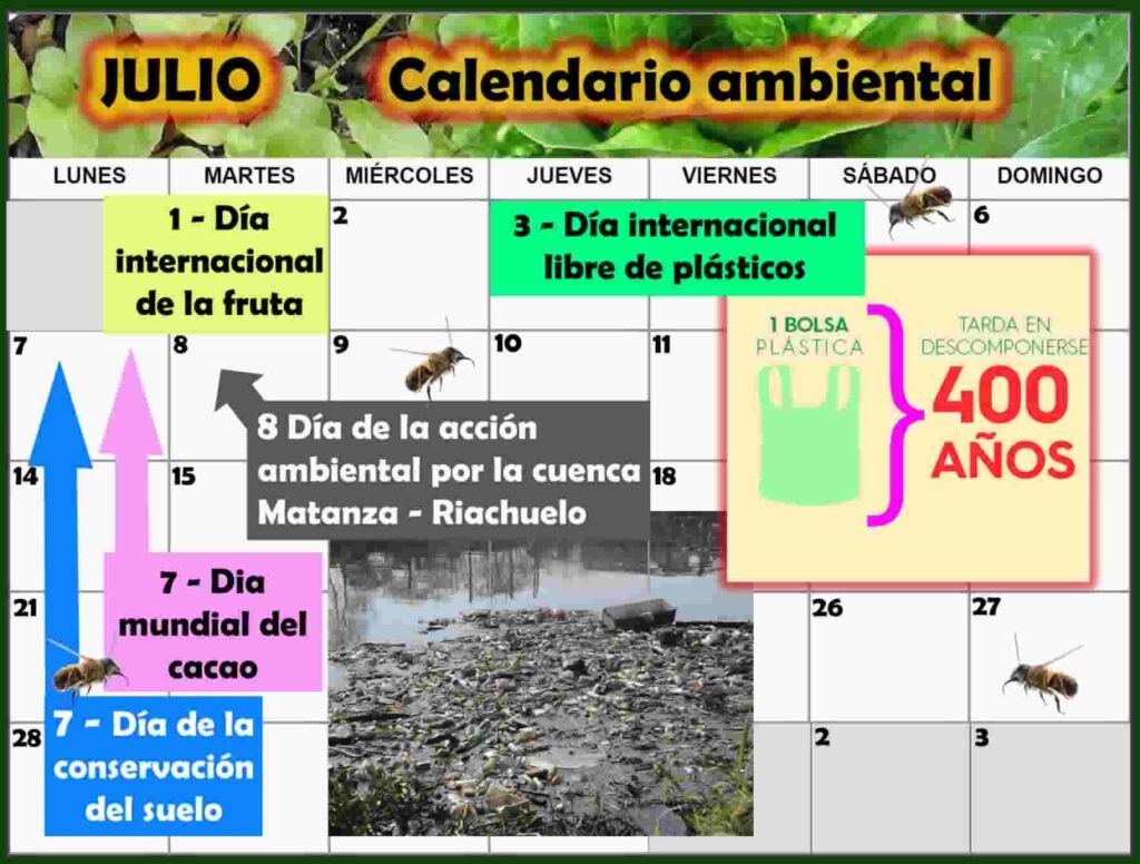 Almanaque ilustrativo de julio con fechas importantes para la ecología