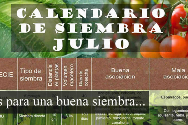Que sembrar en Julio. Datos del mes útiles para la huerta