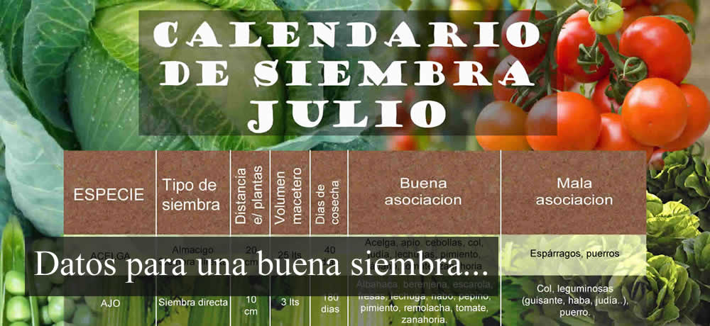 Que sembrar en Julio. Datos del mes útiles para la huerta