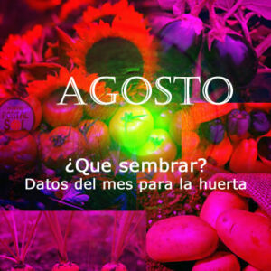 Que sembrar en Agosto. Datos del mes útiles para la huerta