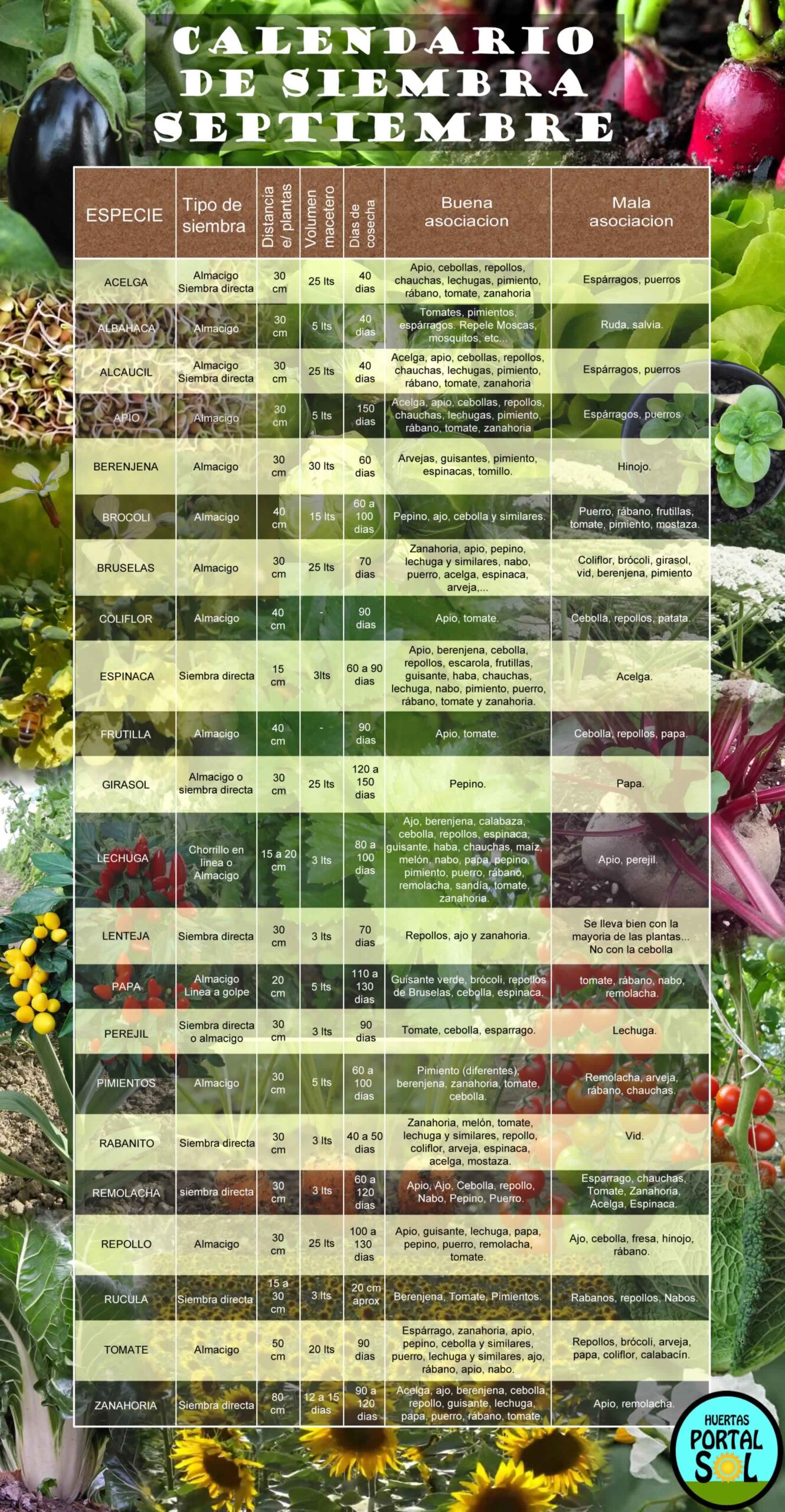 Imagen completa y clásica del calendario de siembra de septiembre con todos los datos
