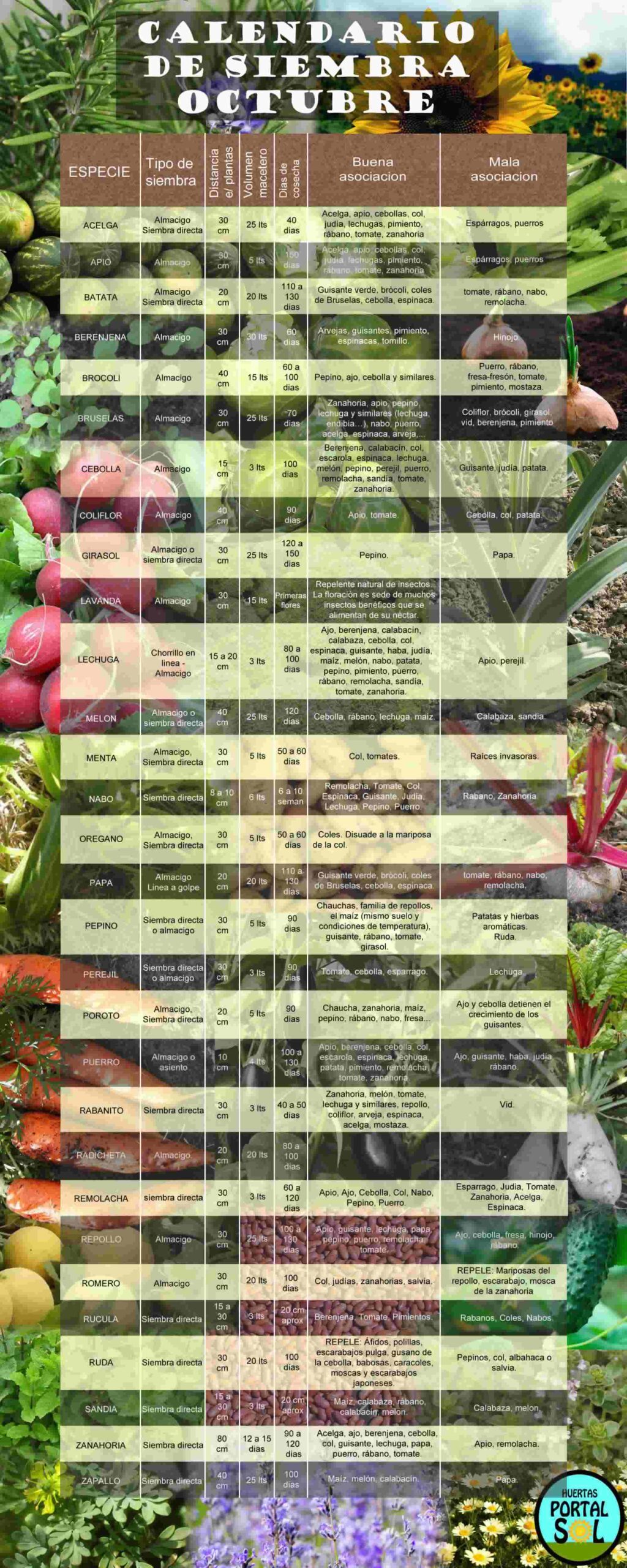 Calendario de siembra de Octubre. Lista con todos los datos