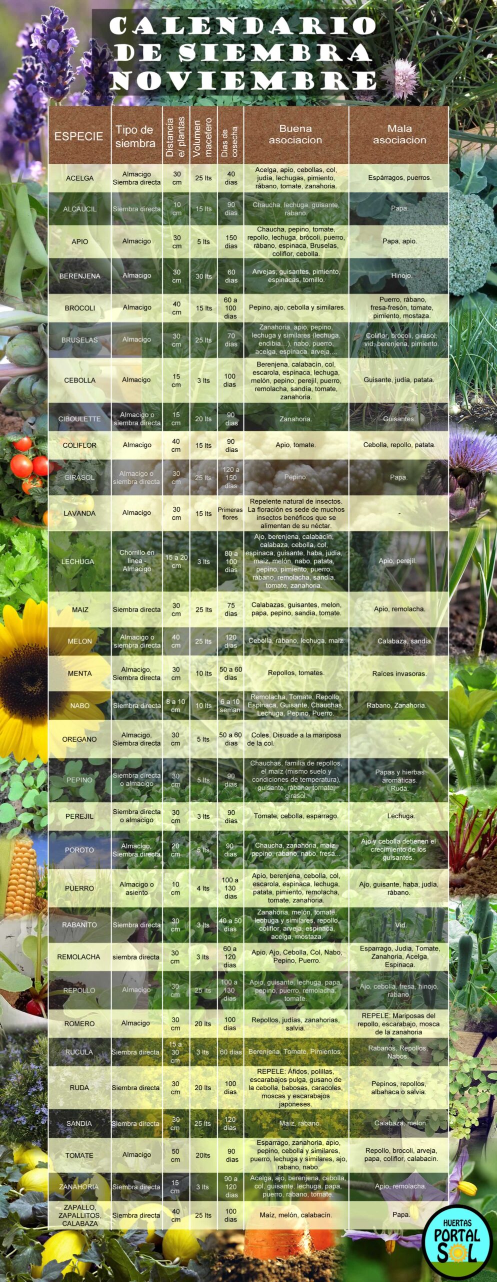Calendario de siembra de Noviembre. Lista con todos los datos e imagenes