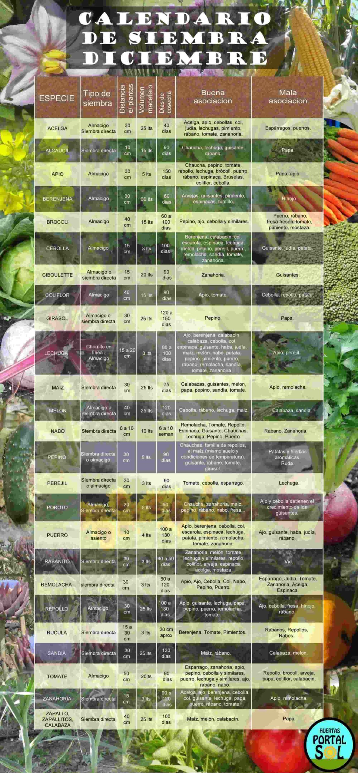 Calendario de siembra de Diciembre. Lista con todos los datos e imagenes